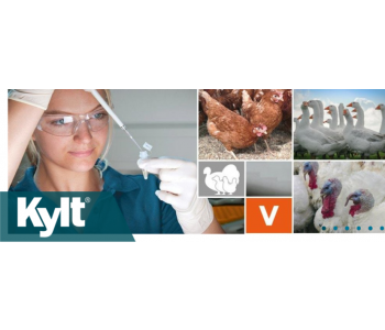 9 Kits diagnóstico veterinária  KYLT 