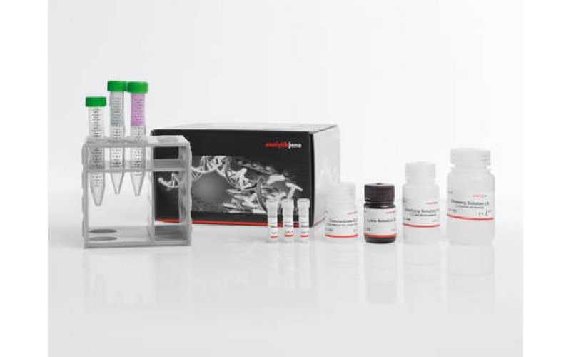 innuPREP RNA MIDI Direct Kit