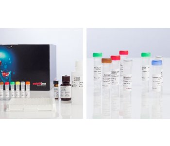 Anticorpos para Alpha-Synuclein