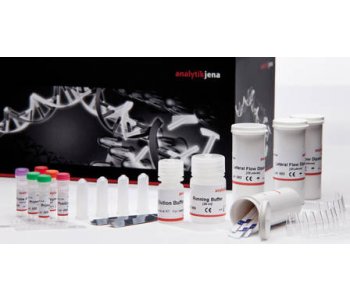 rapidSTRIPE Rickettsia Assay