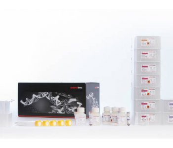 LOOXSTER® Blood & Tissue DNA Kit - KFFLX