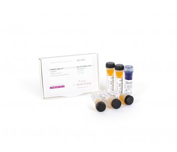PCRBIO DNA Markers