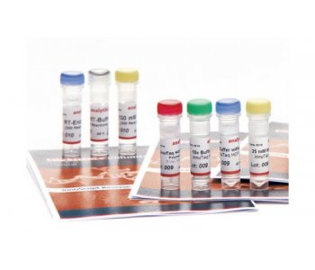 innuMIX qPCR DSGreen Standard 100/200/500 reações