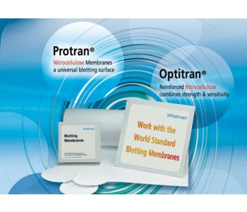 Membranas Protran para Blotting 